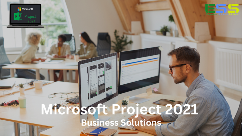 Microsoft Project 2021 Business Solutions