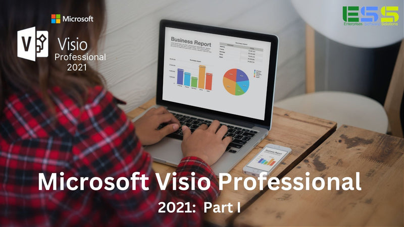 Microsoft Visio Professional 2021: Part I