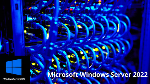 Microsoft Windows Server 2022