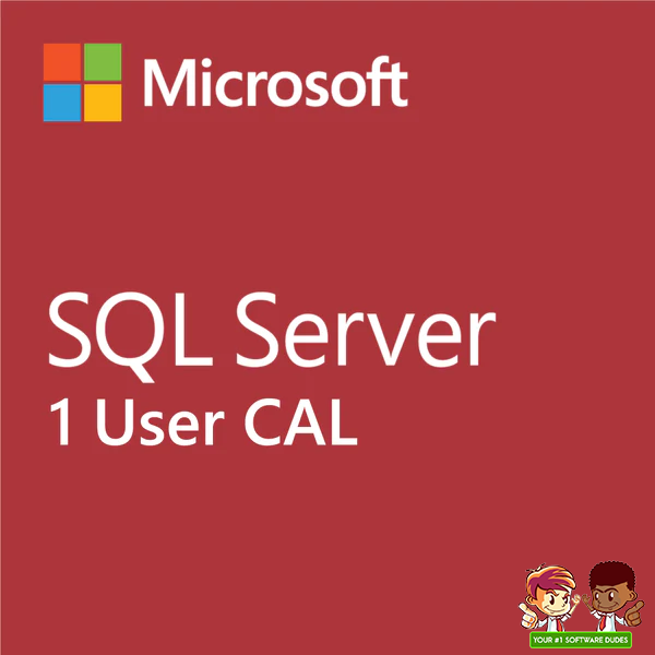 Microsoft SQL Server 2019 | 1 USER CAL | 359-06866 |