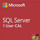 Microsoft SQL Server 2022 | 1 User Client Access License CAL