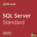 SQL Server 2022 Standard | Retail License & Download