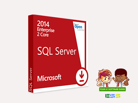 Microsoft SQL Server 2014 Enterprise | 2 Core License | OEM PKC CARD P6L-00008 |