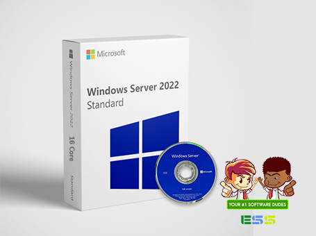 Microsoft Windows Server 2022 Standard 16 Core License | OEI Sealed Box (DVD) | P73-08328