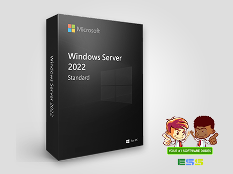 Microsoft Windows Server 2022 Standard 16 Core License | Instant Download | Retail | P73-08328