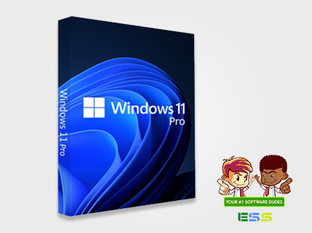 Microsoft Windows 11 Professional | Upgrade license | Instant Download | FQC-10529