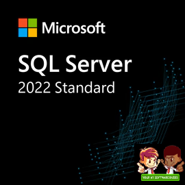 Microsoft SQL Server 2022 Standard | Retail Download