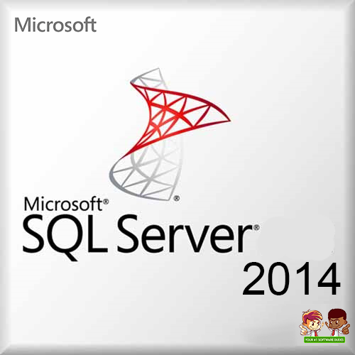 Microsoft SQL Server Standard 2014 + 5 CALs | OEI License |